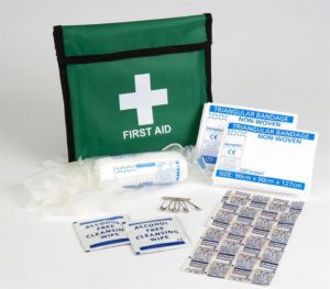 1 person first aid kit with bandage, plasters, wipes and safety pins