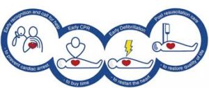 image showing the chain of survival.  what you need to know before giving CPR